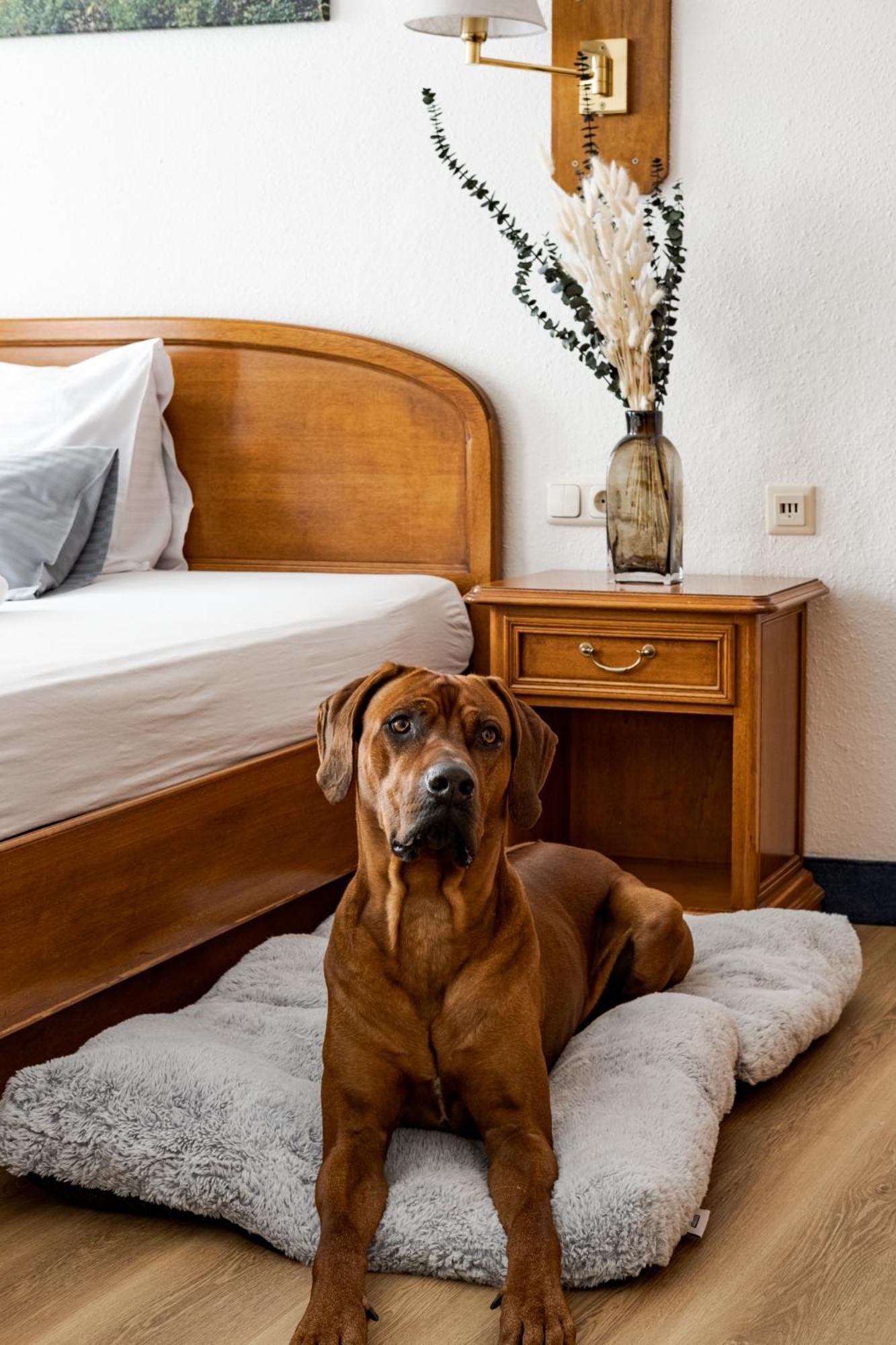 Hotel Goldener Hirsch كاوفبويرن المظهر الخارجي الصورة